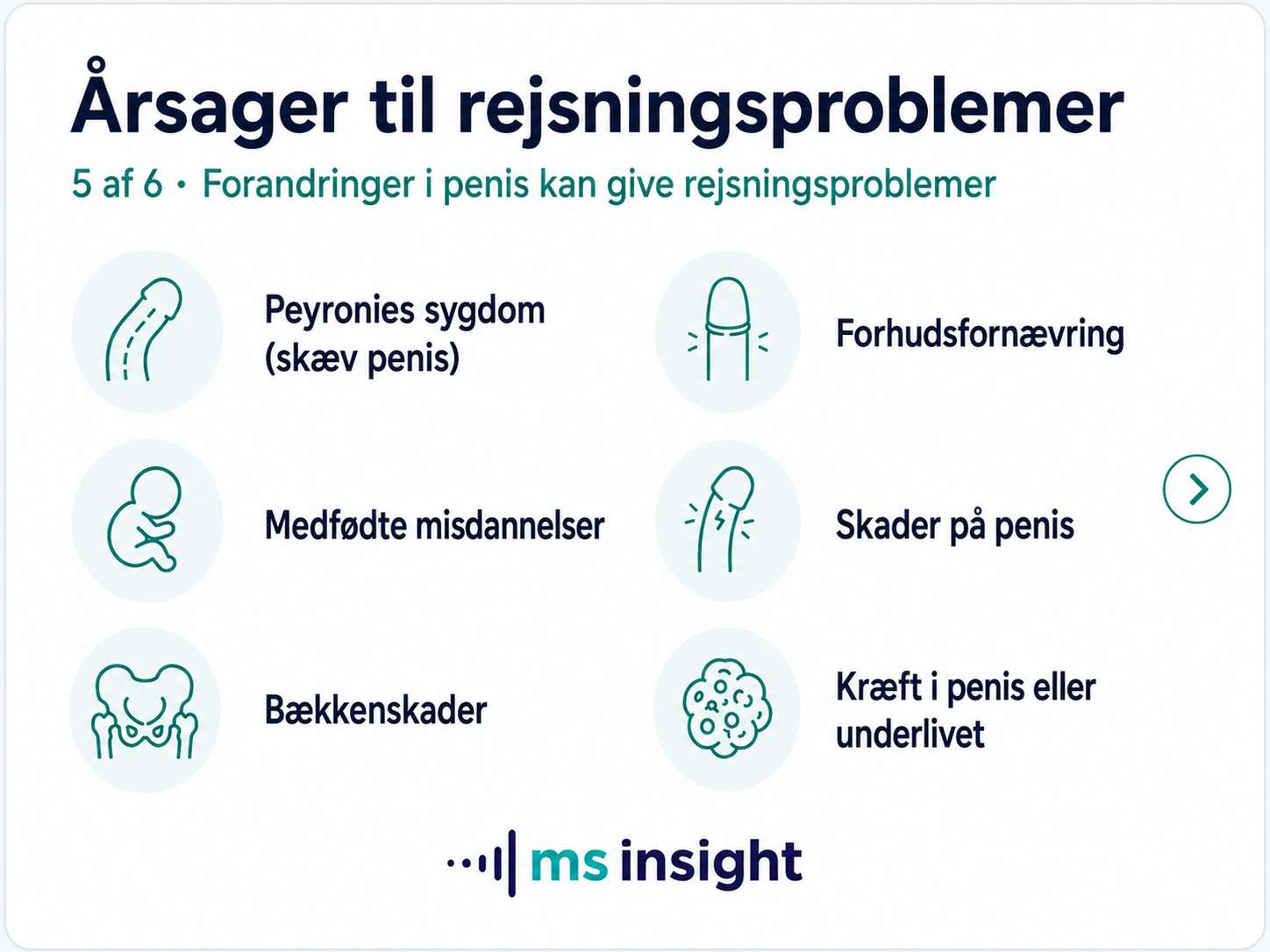 Forandringer og skader på penis, der kan give rejsningsproblemer, herunder Peyronies sygdom, forhudsforsnævring, bækkenskader og kræft i underlivet